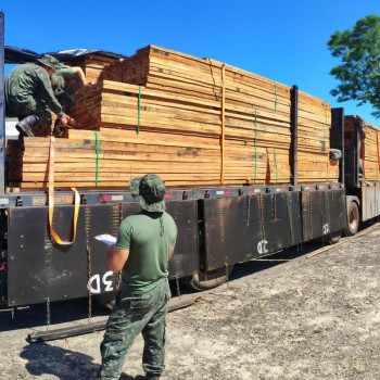 Polícia Militar Ambiental flagra transporte ilegal de madeira nativa