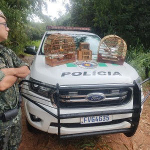 Morador de Lucélia é autuado em R$ 3 mil por manter aves silvestres em cativeiro